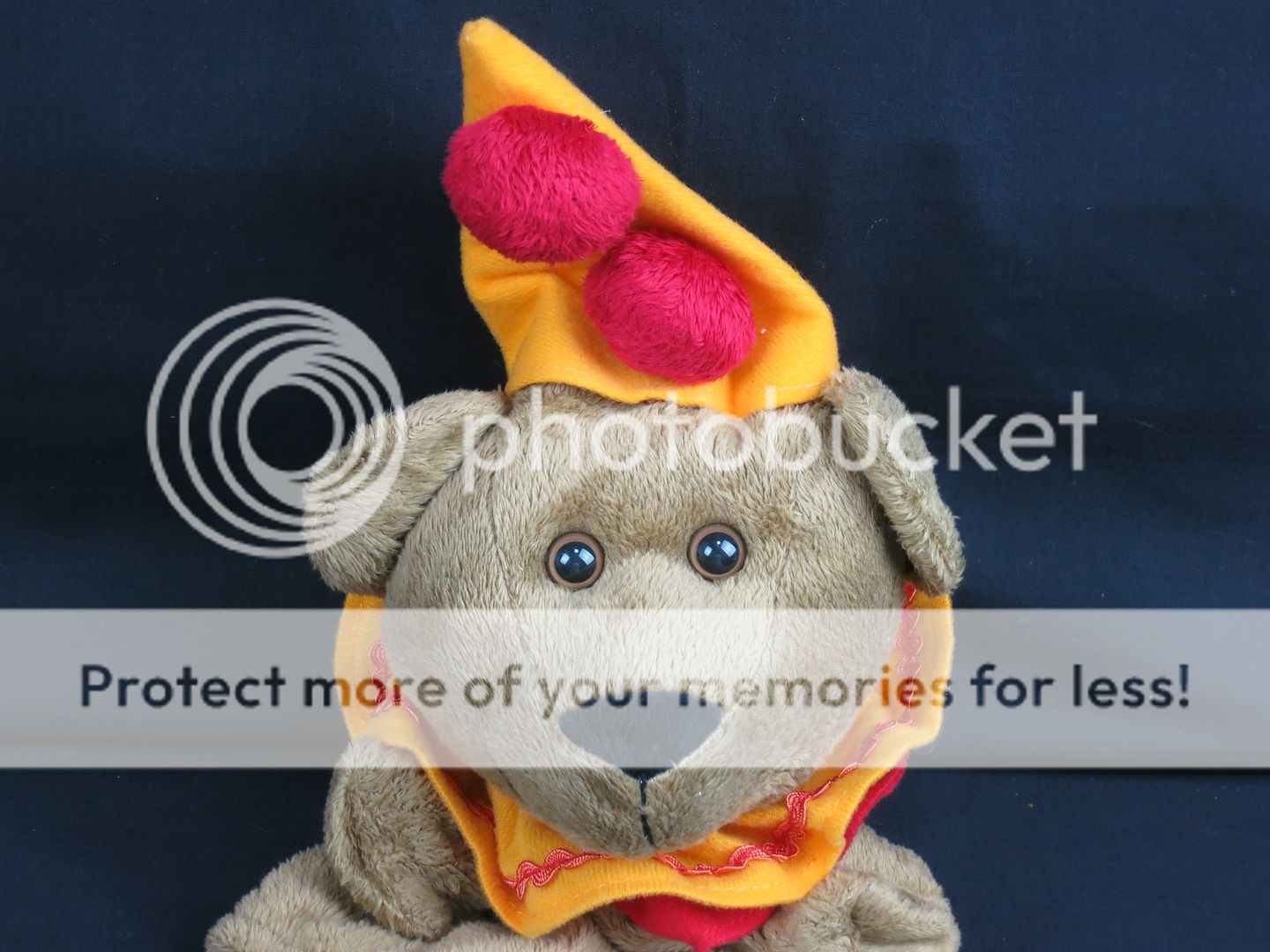 clown teddy bear